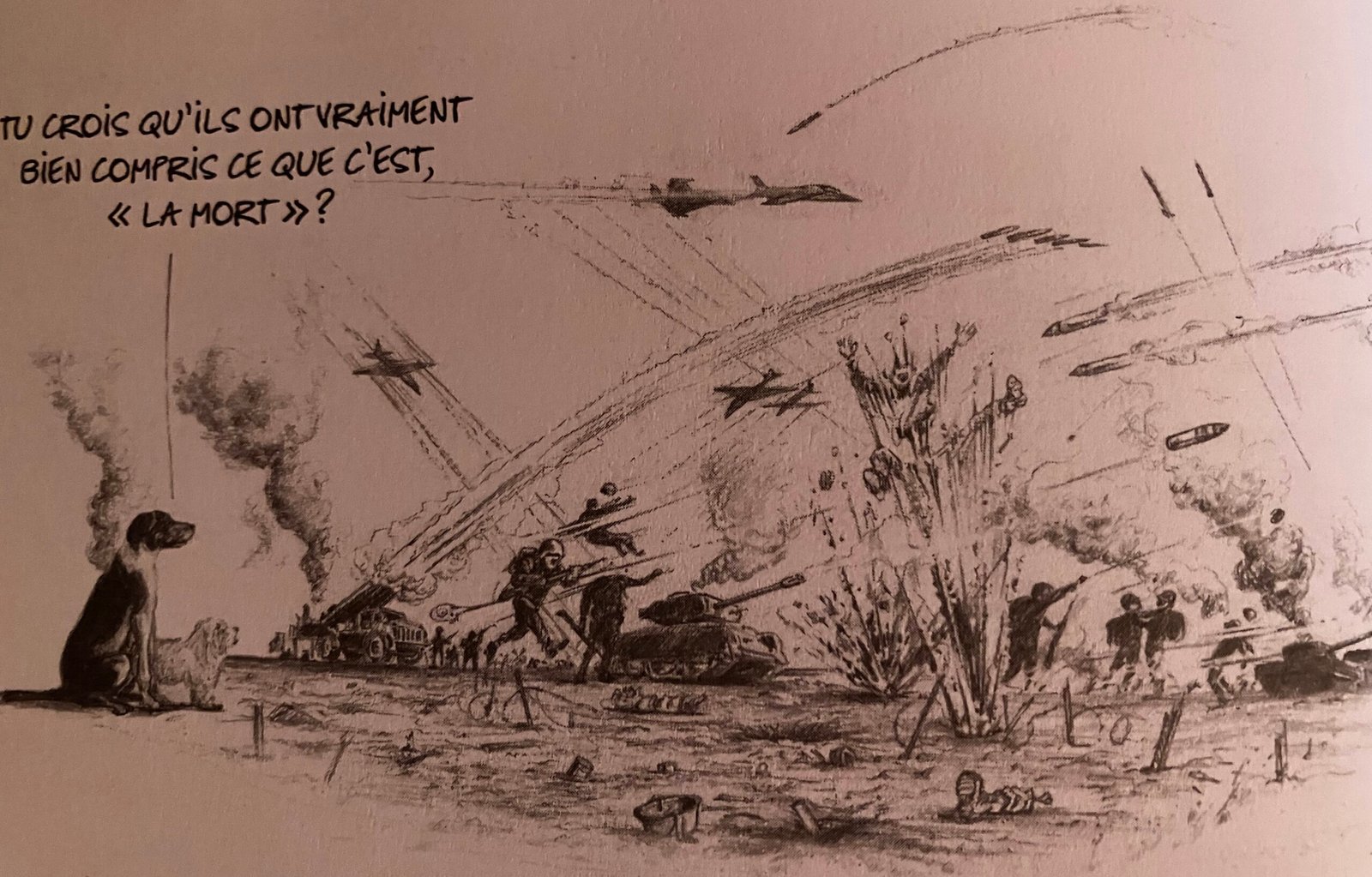 Illustration d'Arnaud Rafaelian — explosion dramatique dans un champ — Les oiseaux se cachent-ils pour mourir ? — Maëva Paul
